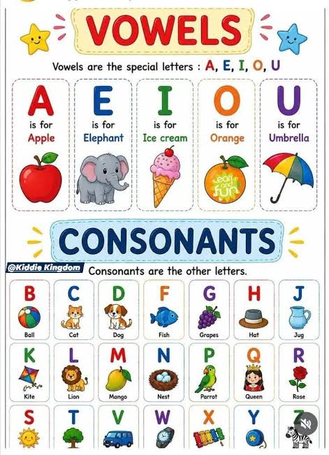 A colorful educational anchor chart distinguishing red vowels and blue consonants for primary school kids.
